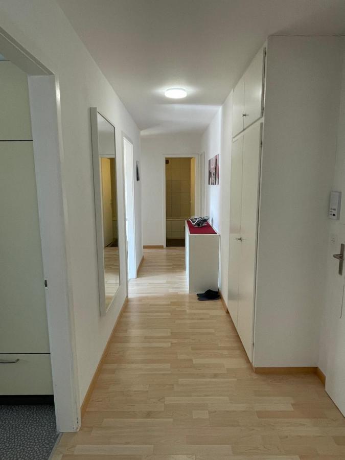 3-Room Apartment For Business Travelers & Families, Free Wifi & Tv With 70 Countries, Dazn, Sky, Netflix & Disney Wynau 外观 照片