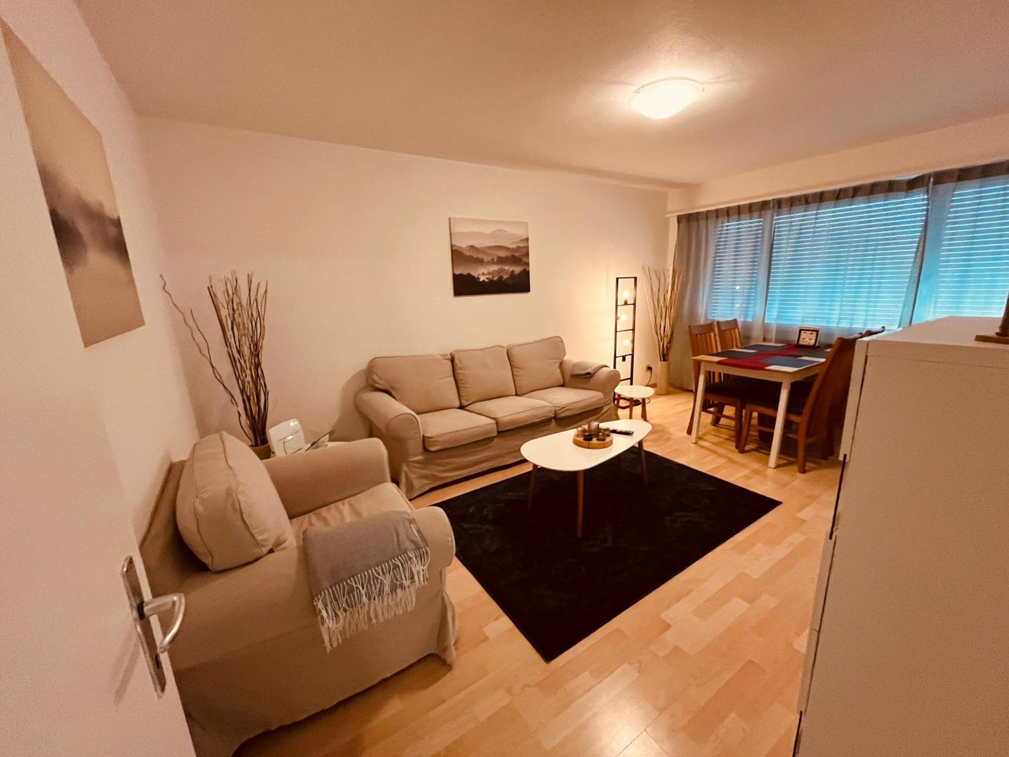 3-Room Apartment For Business Travelers & Families, Free Wifi & Tv With 70 Countries, Dazn, Sky, Netflix & Disney Wynau 外观 照片