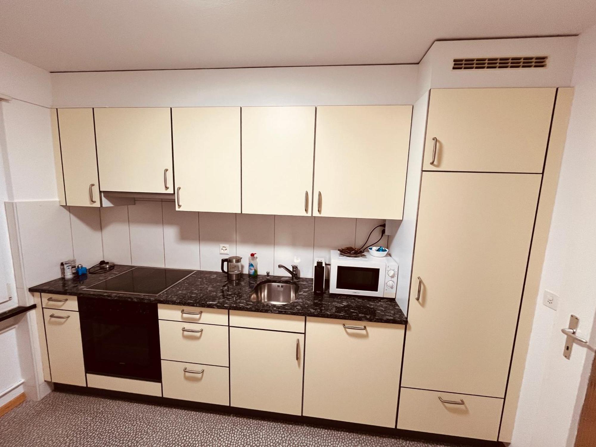 3-Room Apartment For Business Travelers & Families, Free Wifi & Tv With 70 Countries, Dazn, Sky, Netflix & Disney Wynau 外观 照片