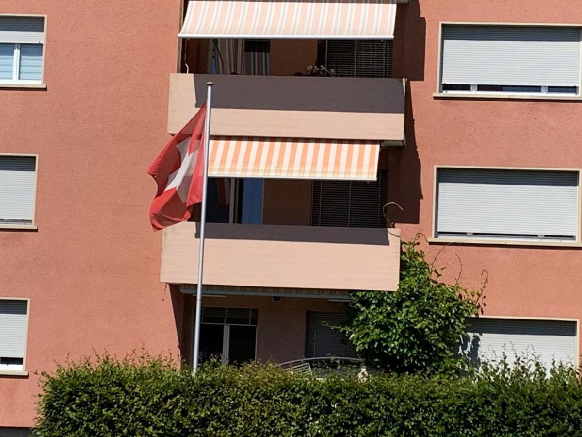 3-Room Apartment For Business Travelers & Families, Free Wifi & Tv With 70 Countries, Dazn, Sky, Netflix & Disney Wynau 外观 照片